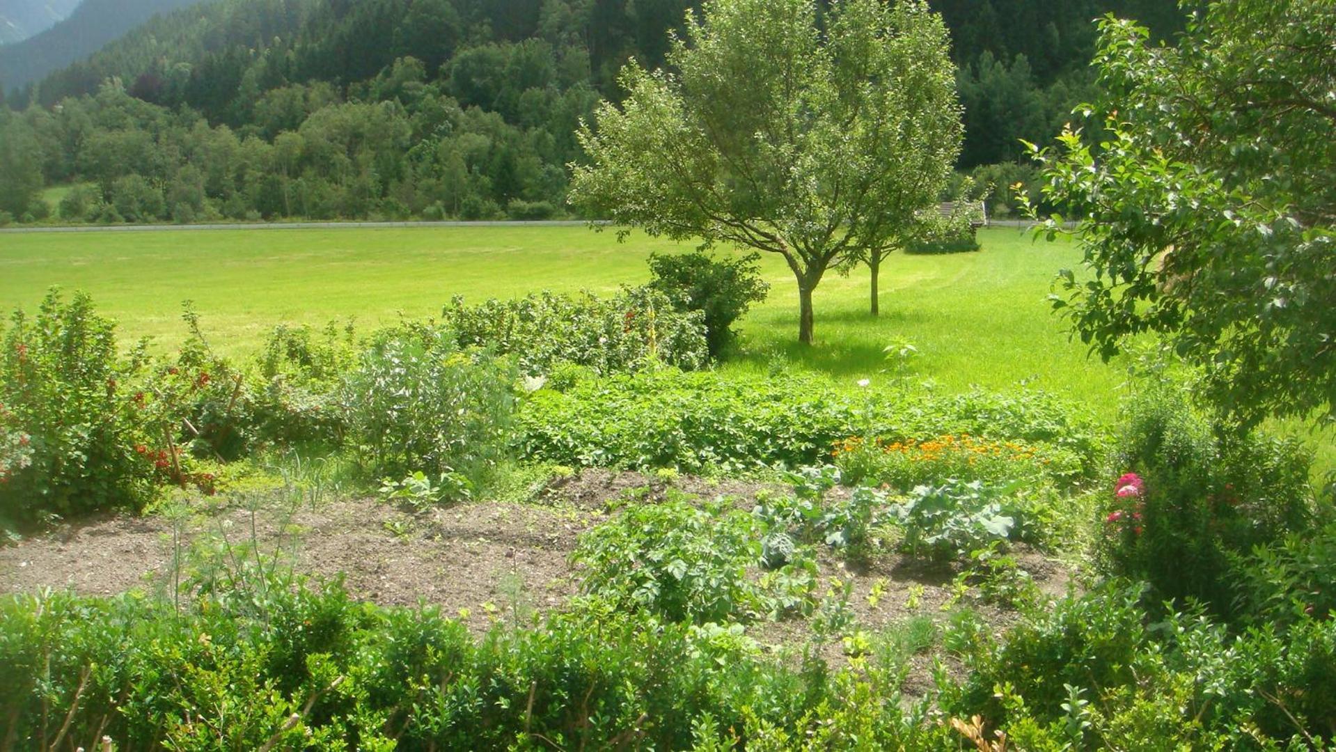 Bauernhof Bio-bauernhof Obertrattenbachhof