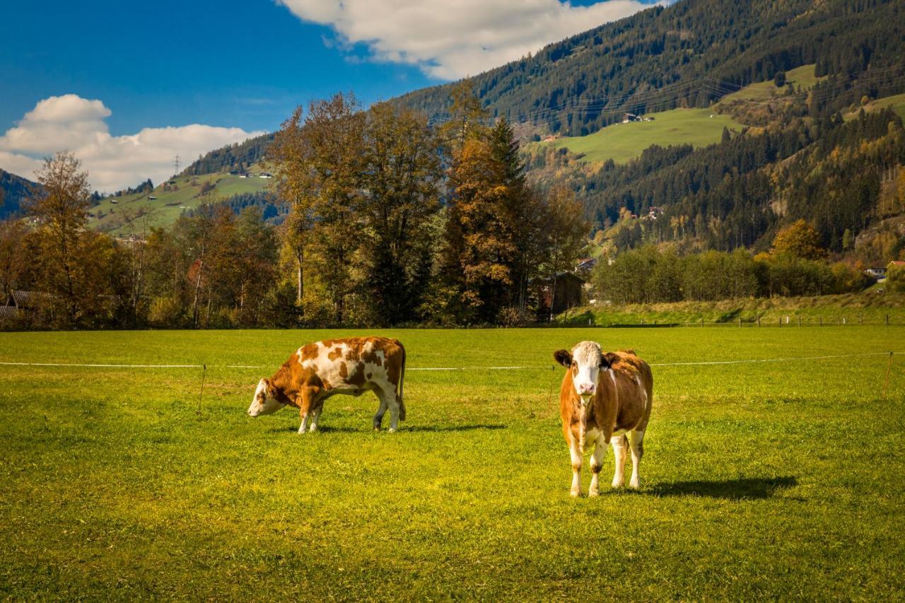 Bio-bauernhof Obertrattenbachhof Farm stay