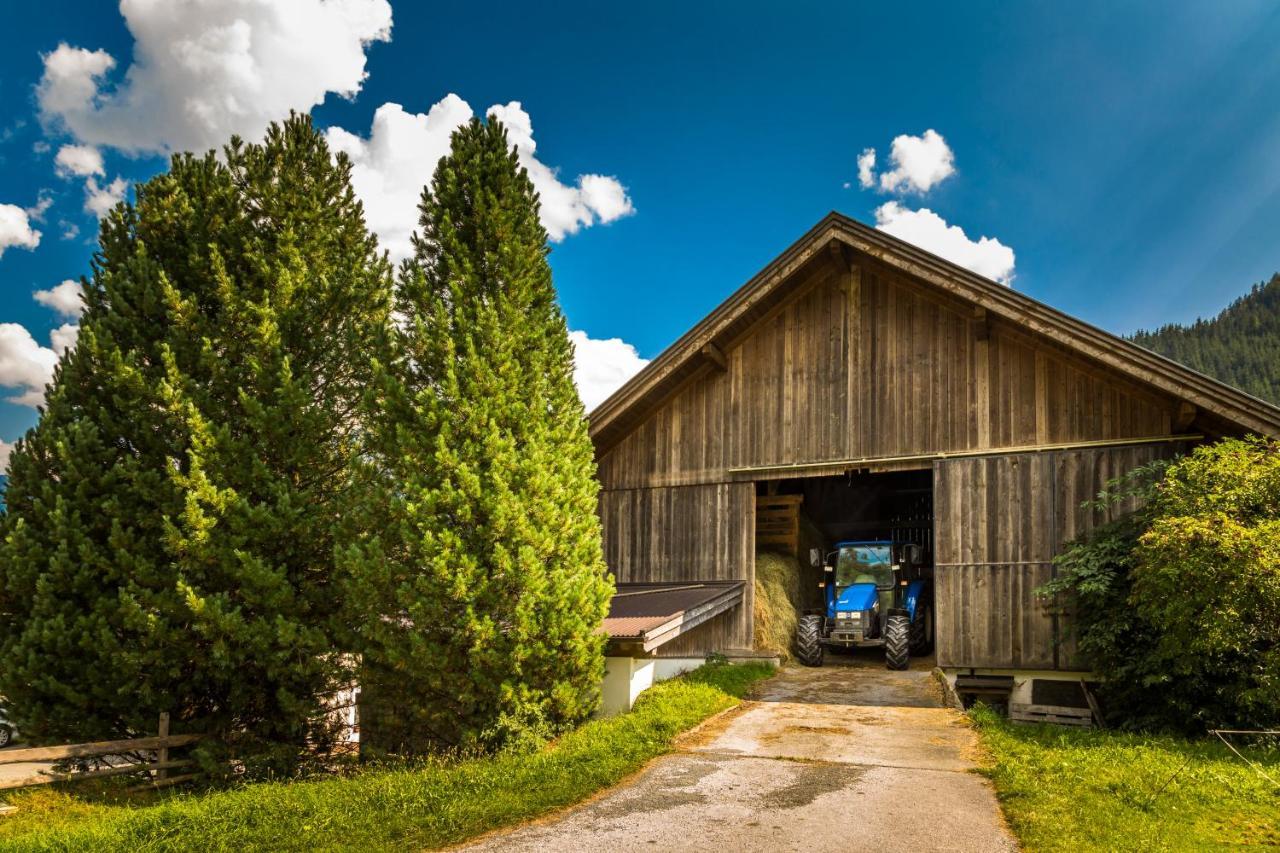 Bauernhof Bio-bauernhof Obertrattenbachhof Neukirchen am Großvenediger