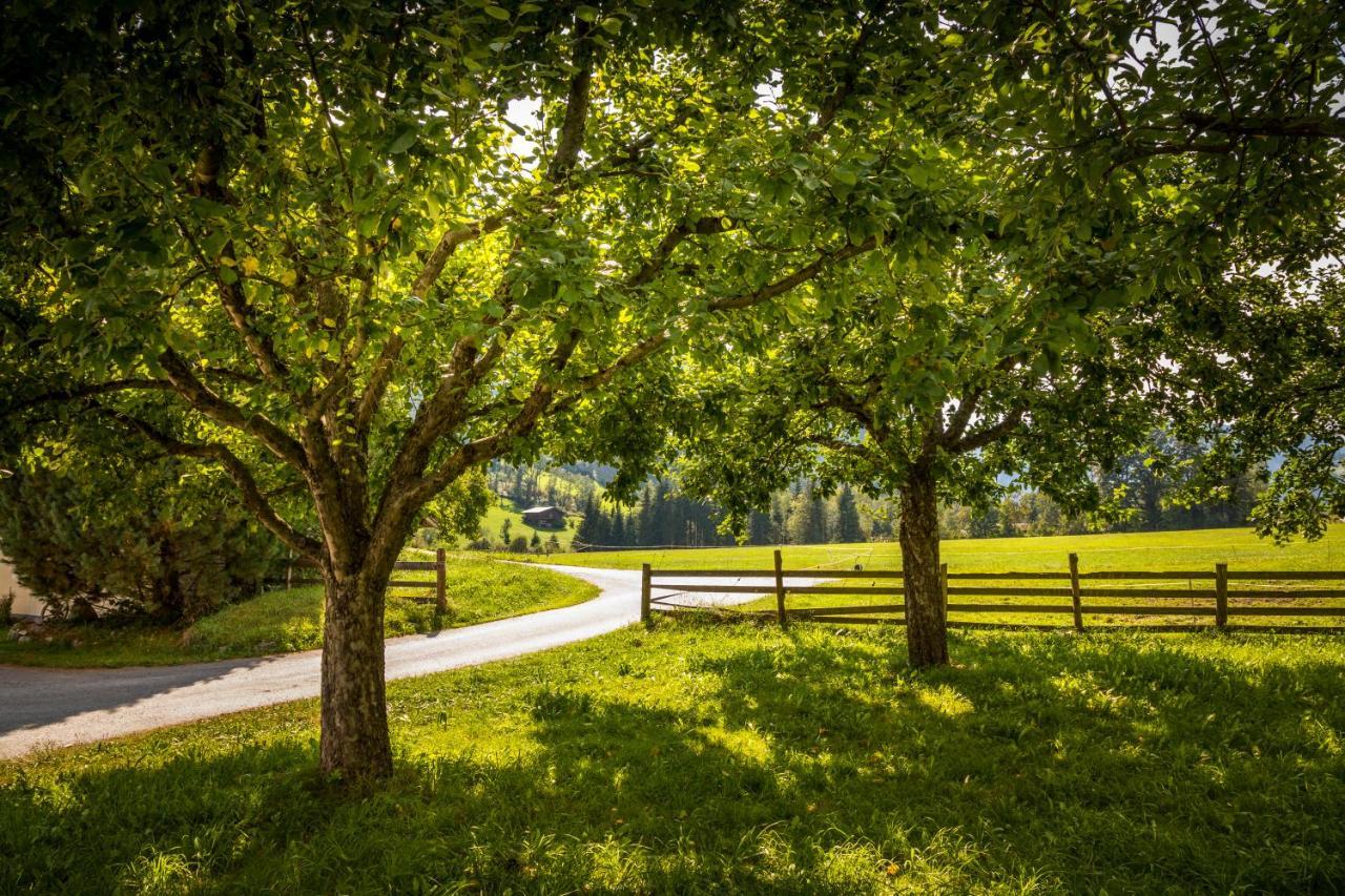 Farm stay Bio-bauernhof Obertrattenbachhof *